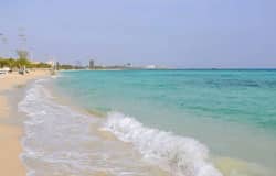 تور کیش