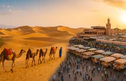 تور مراکش